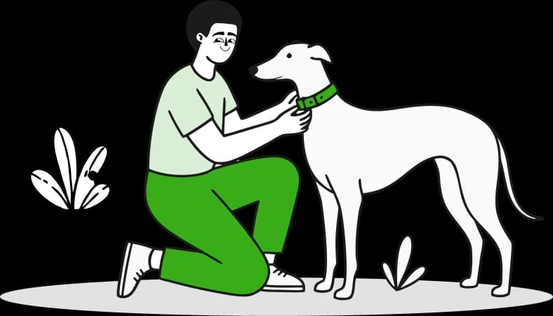 Illustration of a trainer kneeling beside a greyhound