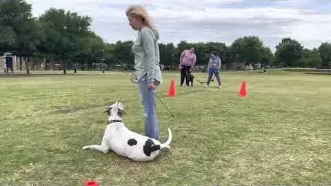 Katie and Presley client testimonial